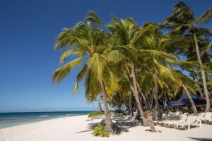 dominicana, dominican republic, sargisova sea, journey, sea, sun, beach, vacation, mood, beauty, landscape, tropics, palm, heat, february, summer, mainland, the continent, nature, freshness, freedom, boat, sky, horizon