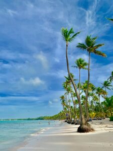Vivid tropical beach with palm trees in Punta Cana, Dominican Republic.