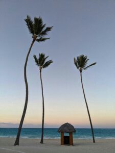 Serene beach view with coconut palm trees at sunset in Punta Cana, Dominican Republic.